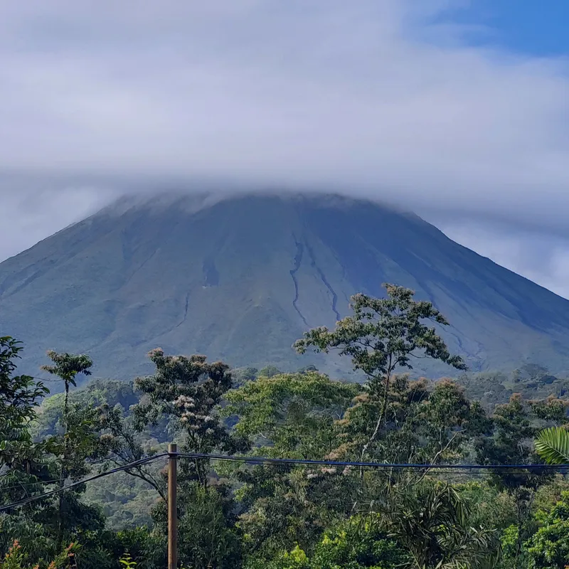 A conical volcano under low cloud, seen over a ridge of forest.