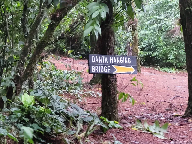 A sign reading Danta Hanging Bridge points down a red earth trail through the forest.