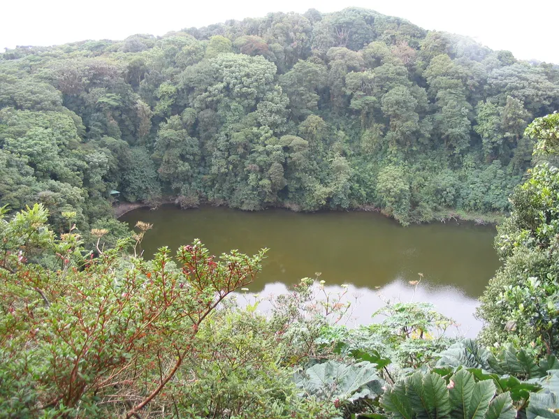 The crater lake sits still, ringed by dense forest.