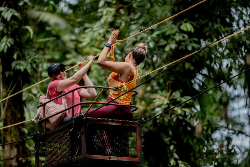 Two people clip in on a canopy platform among the branches.