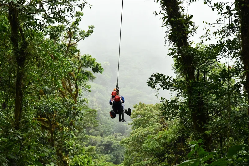 Someone crosses on a zip line high over the canopy, cloud behind.