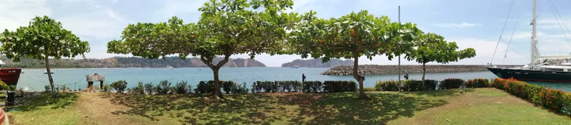 The gulf seen through low branches, with a rocky point across the water.