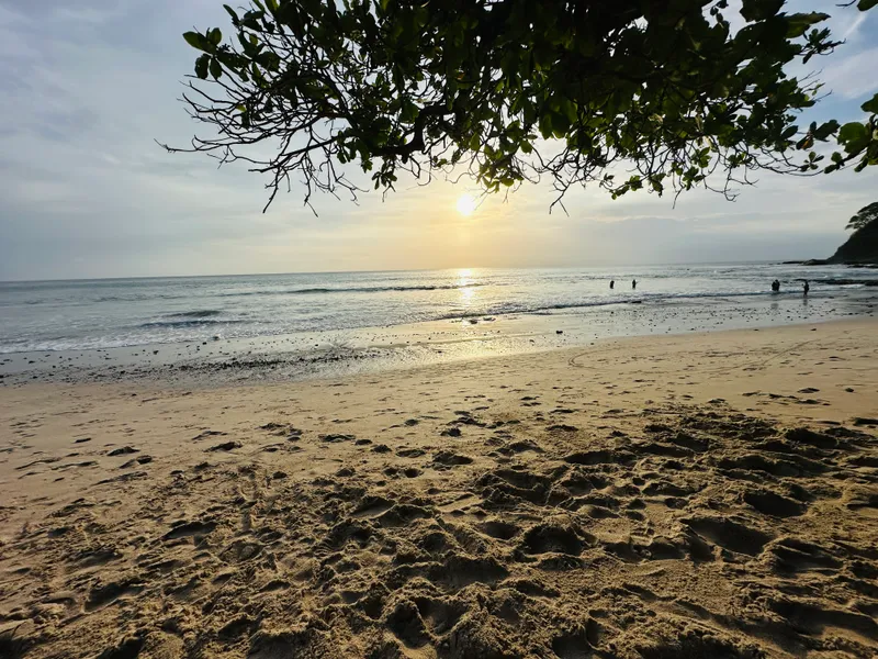 Sunset over the beach, seen from under the branches of a shore tree.
