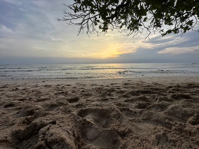 Dusk on the beach, footprints in the sand and branches overhead.