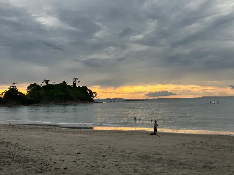 People stand in shallow water at dusk, a wooded point across the bay.