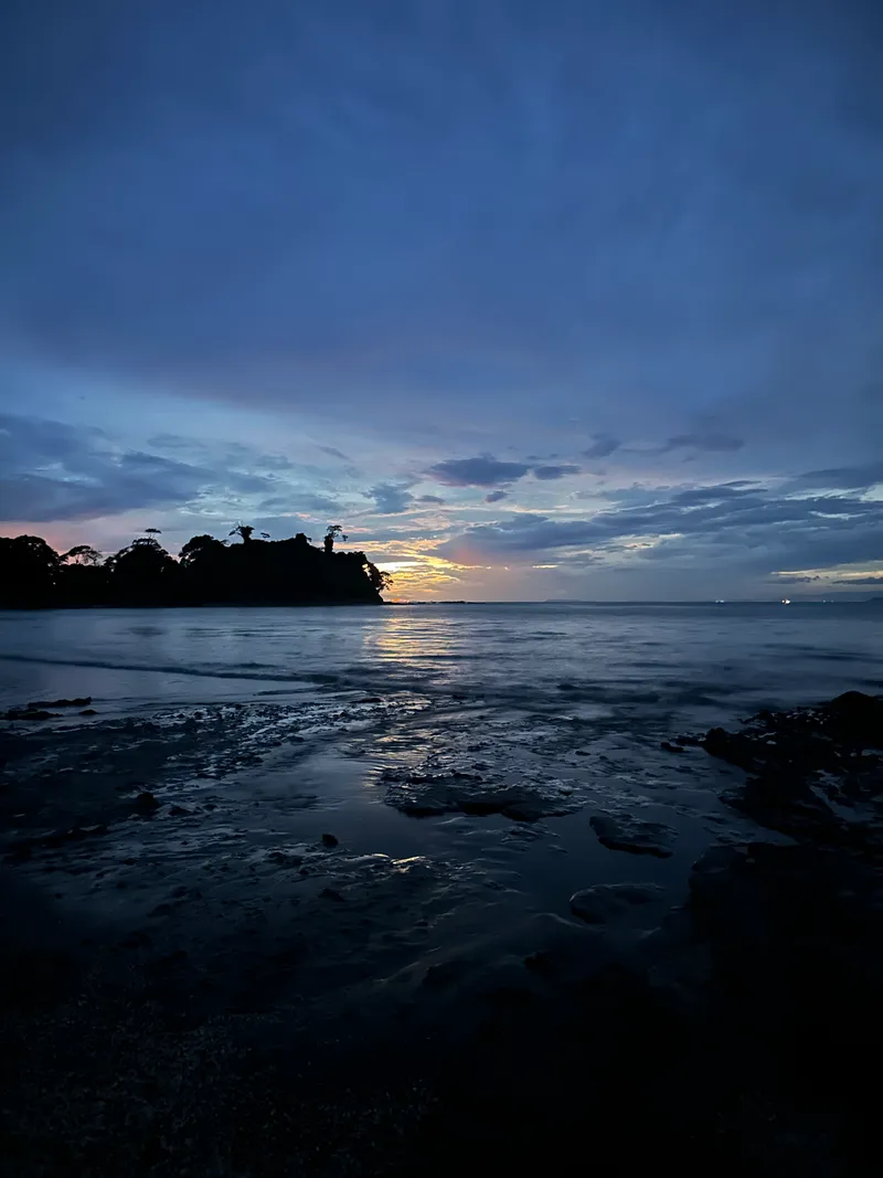 Deep blue dusk over the water, with a wooded headland and rocks in front.