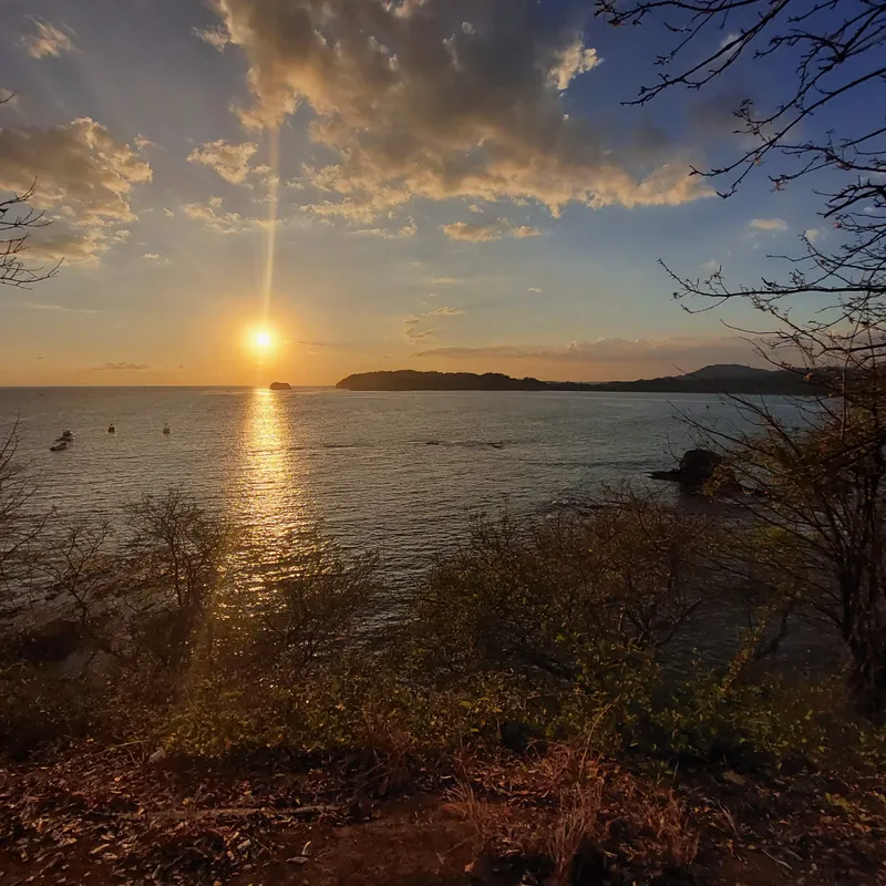 The sun drops into the sea, seen from a hillside through dry branches.