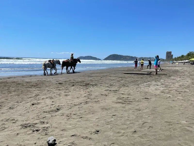 Two riders on horseback move along the water line while people walk the beach nearby.
