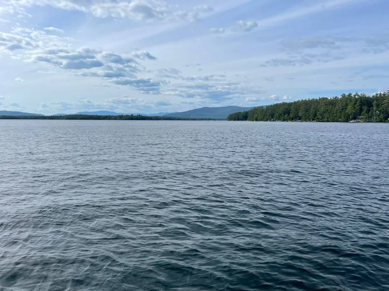 Calm water in front of a low wooded island, with mountains behind it.
