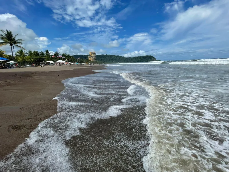 Waves sliding over a wide beach, with palms, buildings and a green headland along the shore.