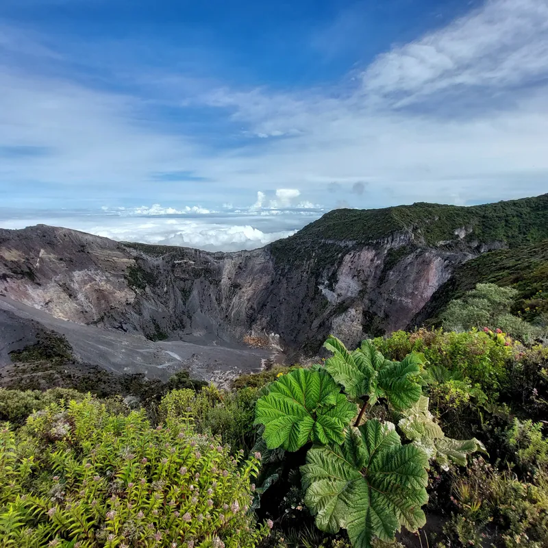 A grey volcanic crater with steep walls, large ribbed leaves in the foreground and clouds sitting below the rim.