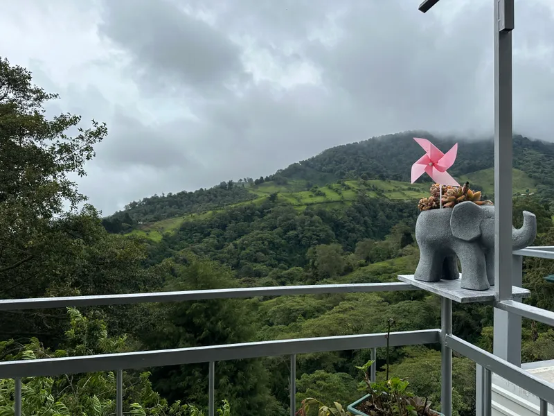 Forested hills under low cloud seen from a railed terrace, with an elephant shaped planter and a pink paper windmill on the ledge.