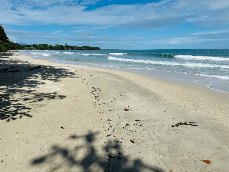 An empty beach at midday, wet sand in the foreground and a forested point in the distance.
