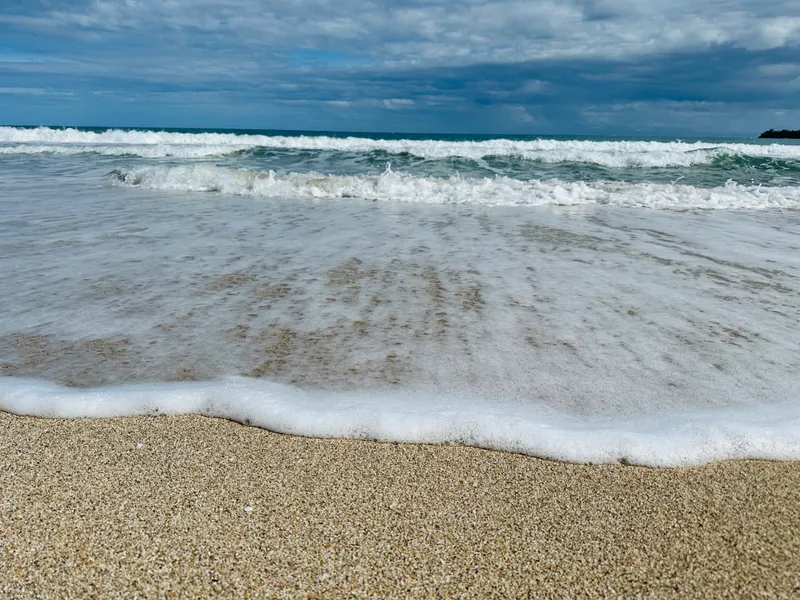 A wave spreading white foam over dark sand, seen close to the water.
