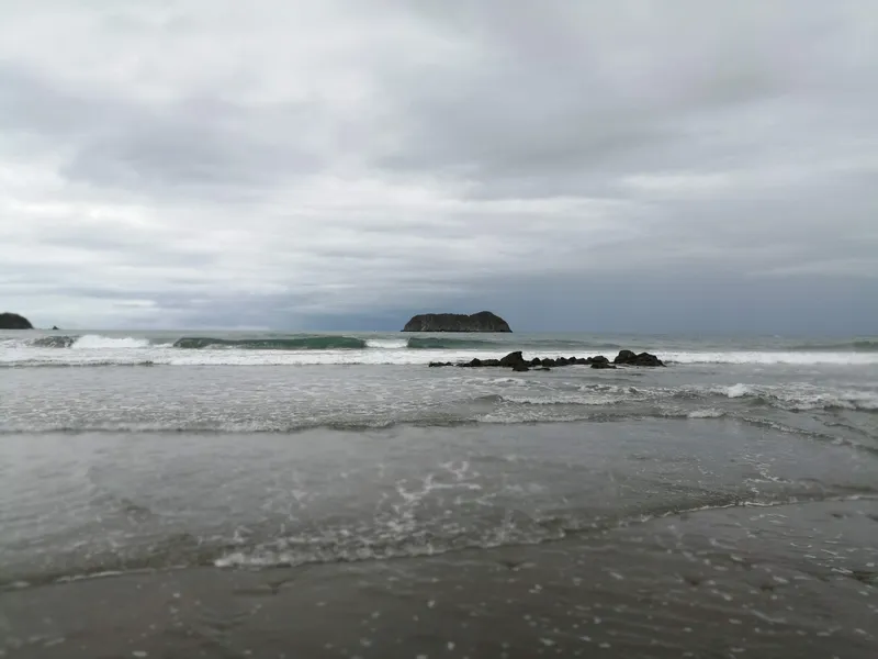 Waves break over dark rocks under a grey sky, with a small island offshore.