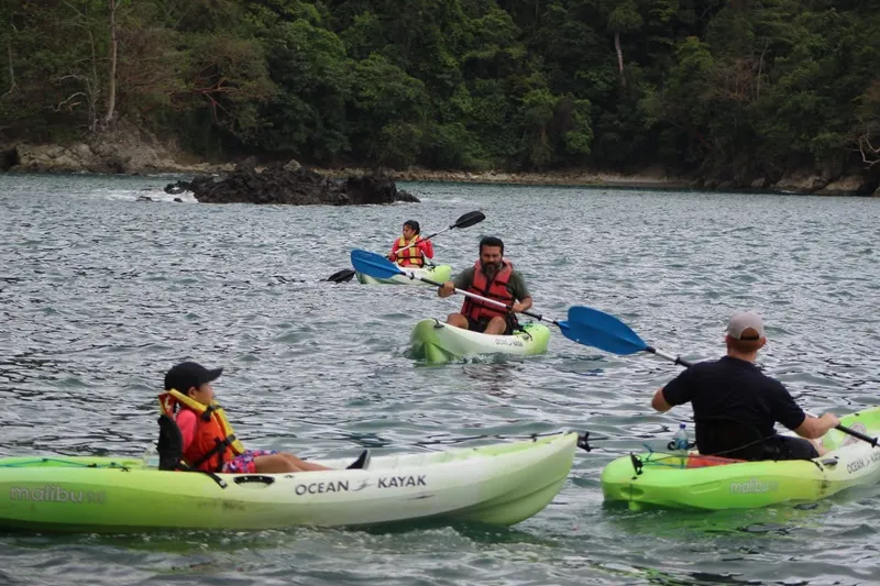 Paddlers in life vests move green kayaks across calm water near a rocky shore.
