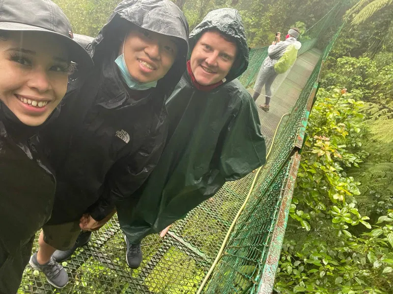 Three people in rain ponchos on a hanging bridge, with mist and wet leaves around them.