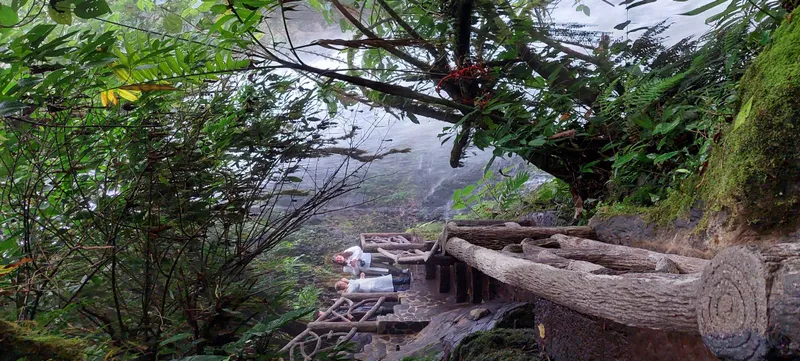 Wooden steps seen from above through bare branches, dropping toward grey volcanic ground.
