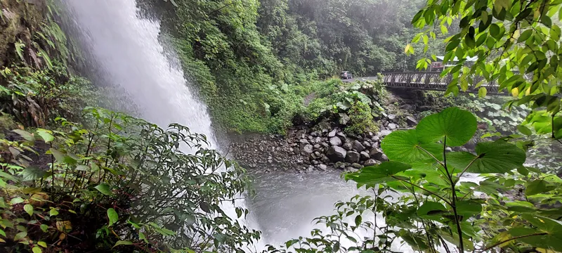 A waterfall drops into a wide grey river between rocks, framed by leaves in the foreground.