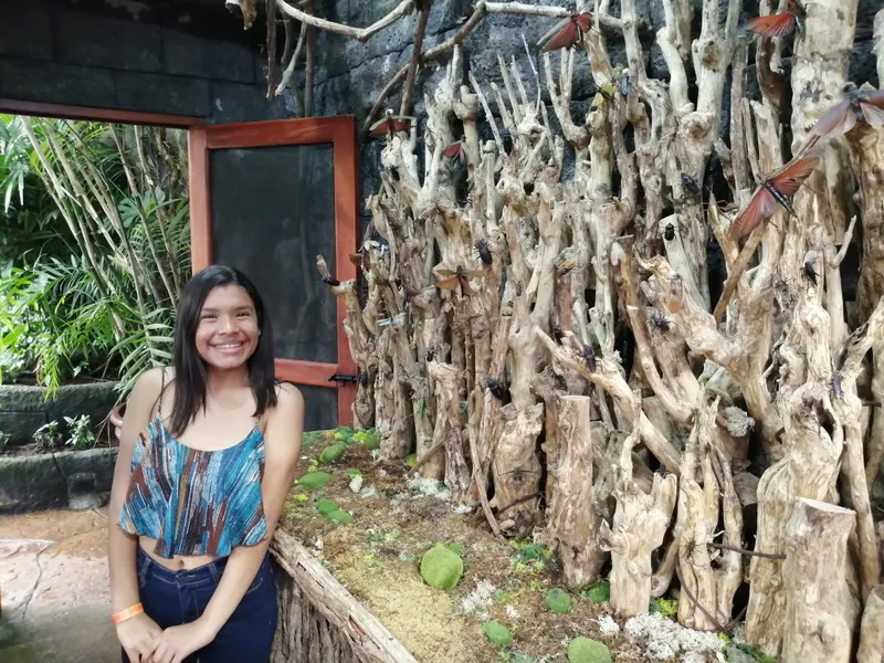 A young woman stands beside a fence built from twisted bare branches.